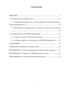 Доклад: Инструкция по организации деятельности служб и подразделений ОВД